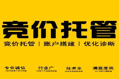 案例解析：如何通过竞价推广实现精准营销